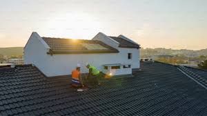 Best Skylight Installation and Repair  in Punta Gorda, FL